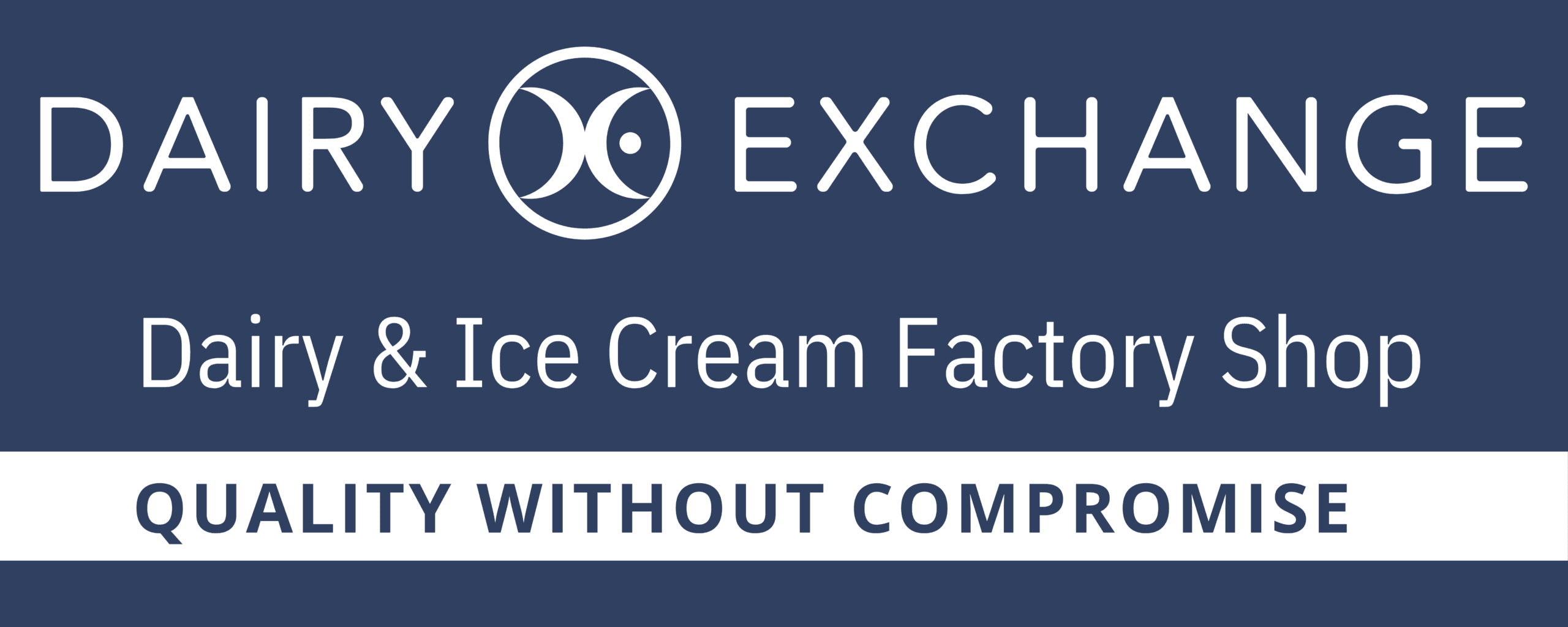 Dairy X.pdf
